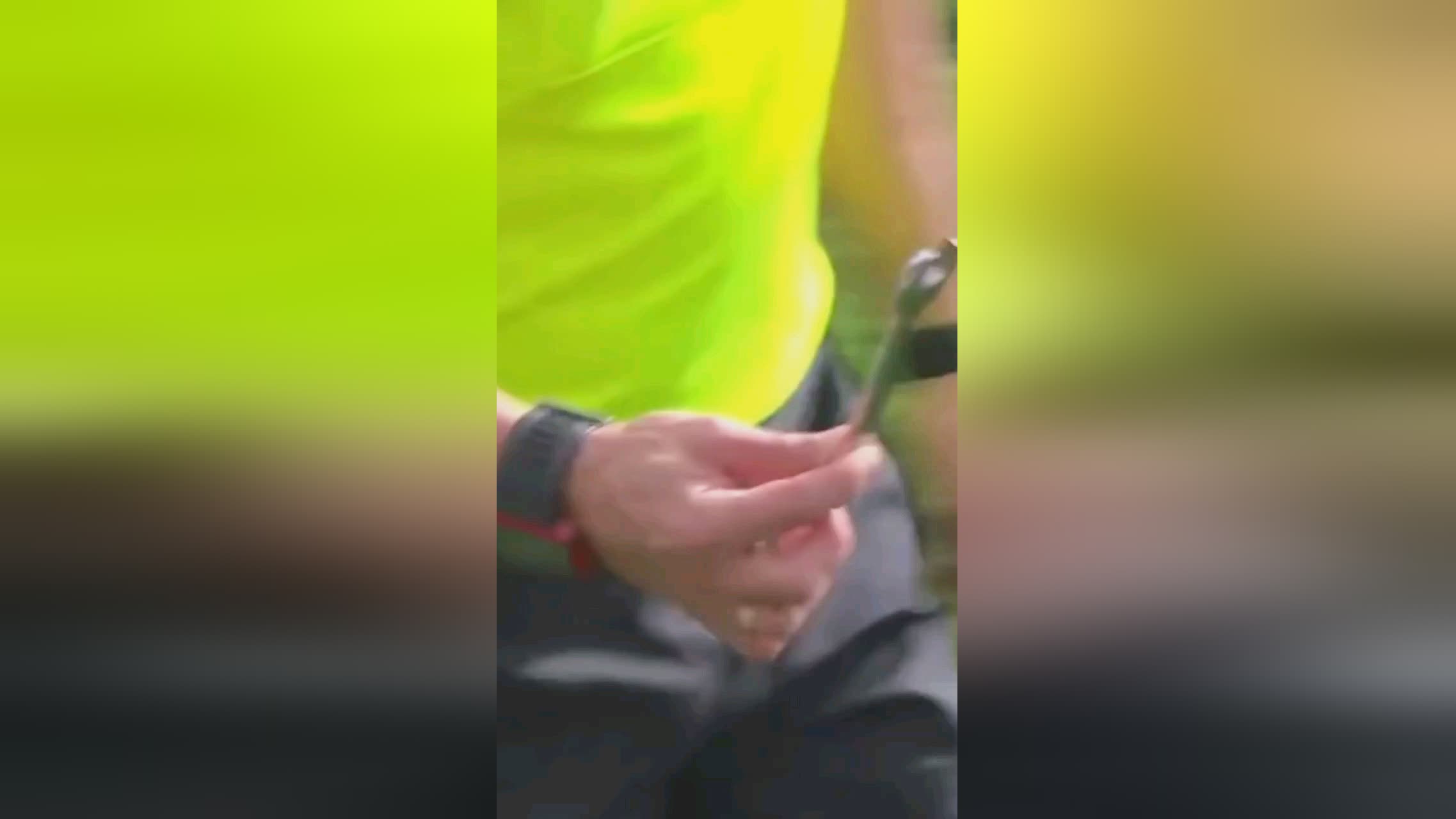 领先优势